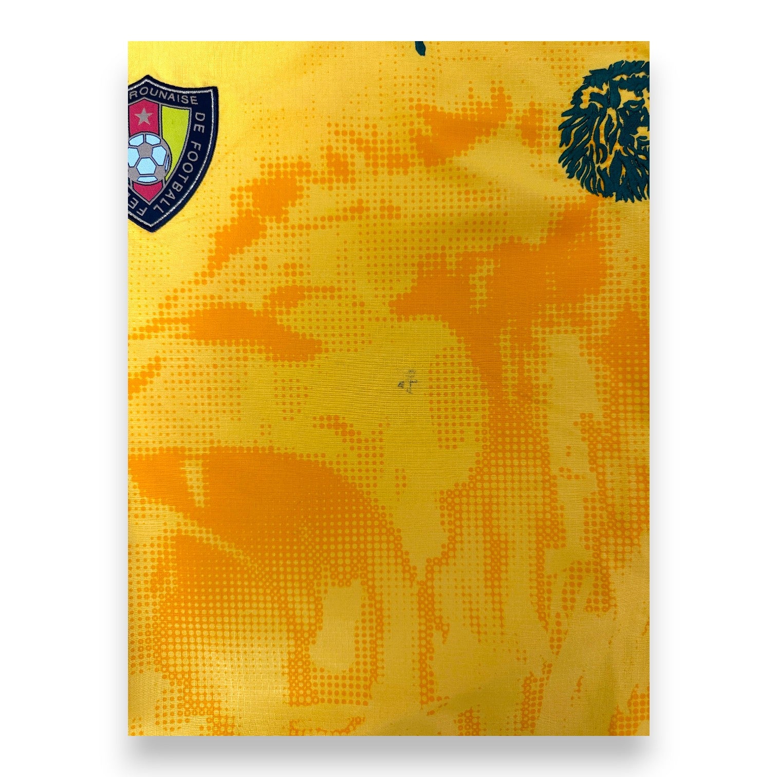 Dettaglio tessuto evoKNIT maglia Camerun Third 2018 crest e leone ricamato