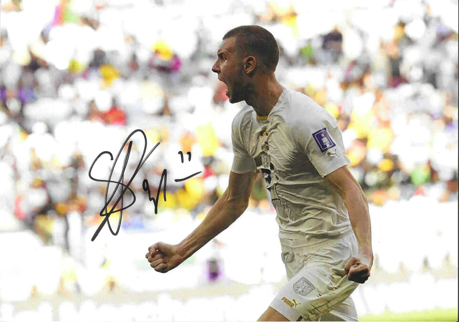 Fotografia autografata Strahinja Pavlovic esultanza urlo primo piano profilo maglia bianca Puma Serbia patch FIFA Qatar 2022 pugno chiuso – autografo originale pennarello nero con numero 11 – 29,7x21 cm – condizioni Excellent
