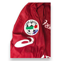 Patch ufficiale Lega Calcio Serie B TIM maglia Torino FC Home 2005-06 Player Issued Vedin Musić – Asics