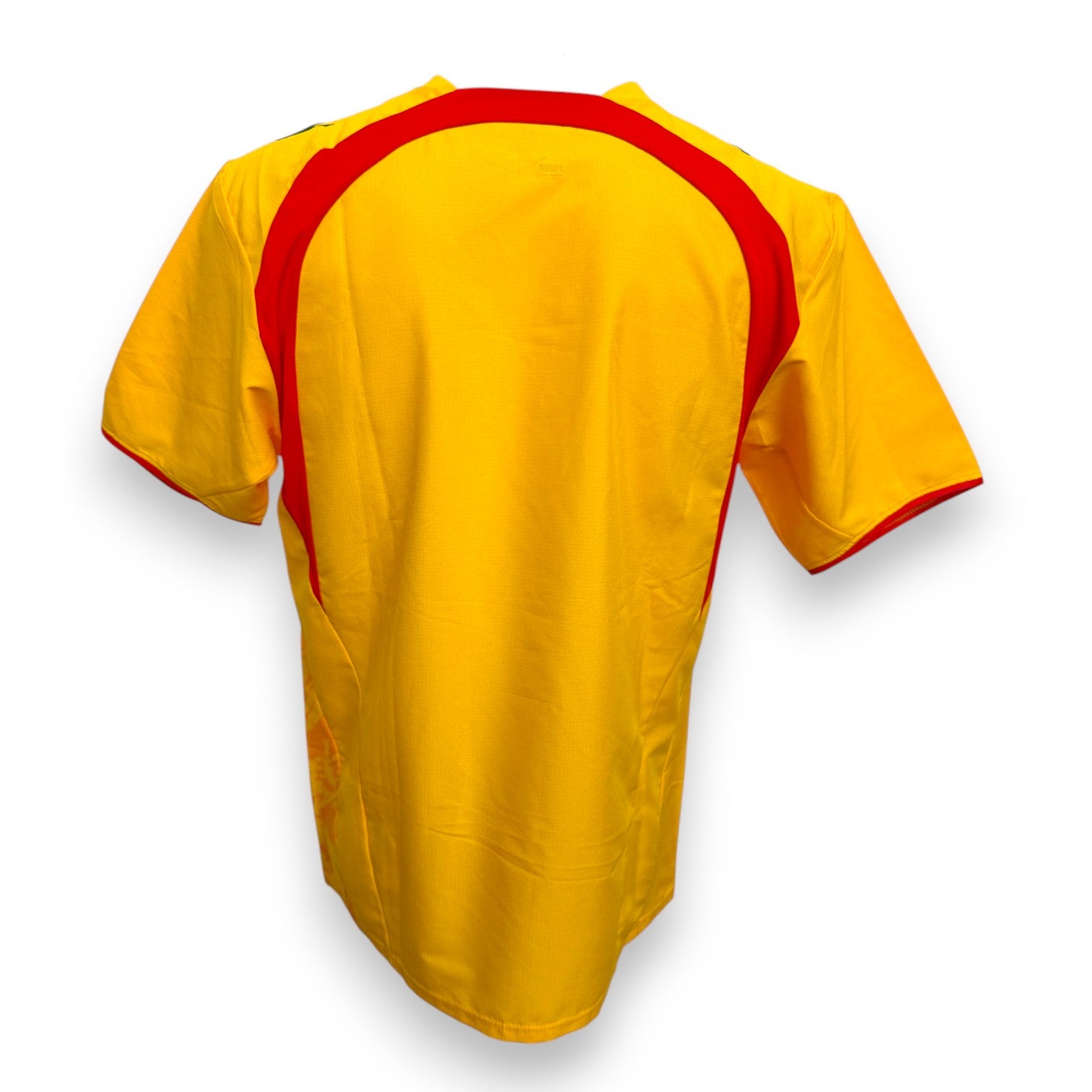 Maglia Camerun Third 2018 Puma gialla vista posteriore collo rosso
