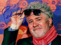 Fotografia autografata Pedro Almodóvar ritratto a colori con occhiali da sole e sciarpa rossa – autografo originale per esteso pennarello blu – 20x15 cm – condizioni Excellent