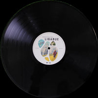 Disco Lato A vinile Ligabue Dedicato a Noi 2023 – 33 rpm – etichetta Warner Music Zoo Aperto