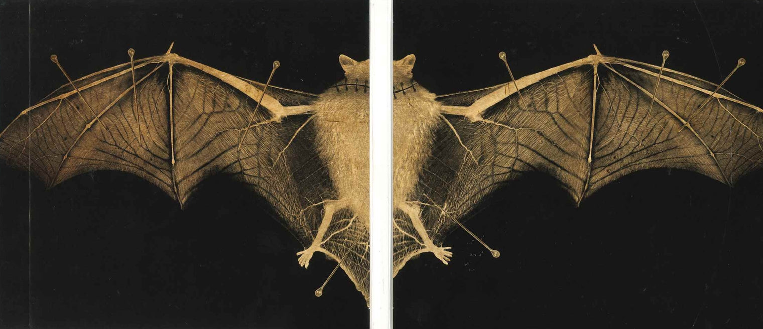 Artwork del pipistrello del booklet Patient Number 9 di Ozzy Osbourne – inserto illustrato dell album autografato