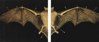 Artwork del pipistrello del booklet Patient Number 9 di Ozzy Osbourne – inserto illustrato dell album autografato