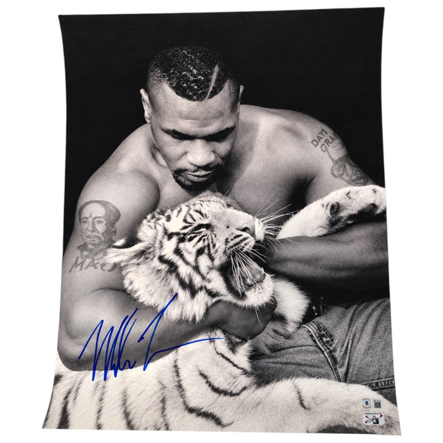 Dettaglio autografo originale Mike Tyson su fotografia con cucciolo di tigre bianca