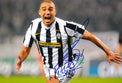 Fotografia autografata David Trezeguet Juventus 2009-10 in esultanza – maglia Nike New Holland – autografo originale pennarello blu – condizioni Excellent