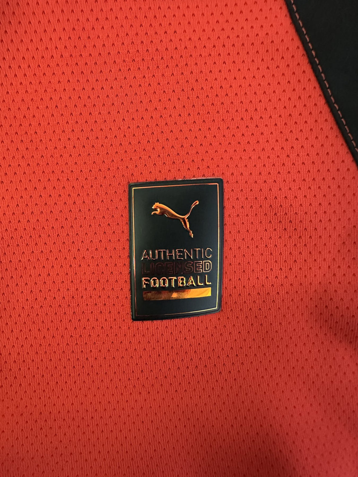 Cartellino hologram Puma Authentic Licensed Football maglia AC Milan Home 2024-25