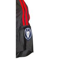 Patch 7 Coppe dei Campioni maglia Milan 2008-09 – badge sette vittorie – dettaglio manica Adidas