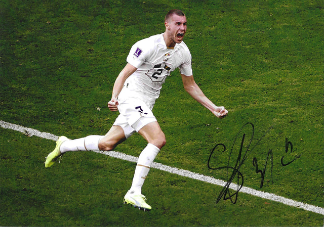 Fotografia autografata Strahinja Pavlovic esultanza gol maglia bianca Puma Nazionale Serbia numero 5 Mondiali Qatar 2022 ripresa zenitale prato verde – autografo originale pennarello nero con numero 31 in basso a destra – 29,7x21 cm – condizioni Excellent